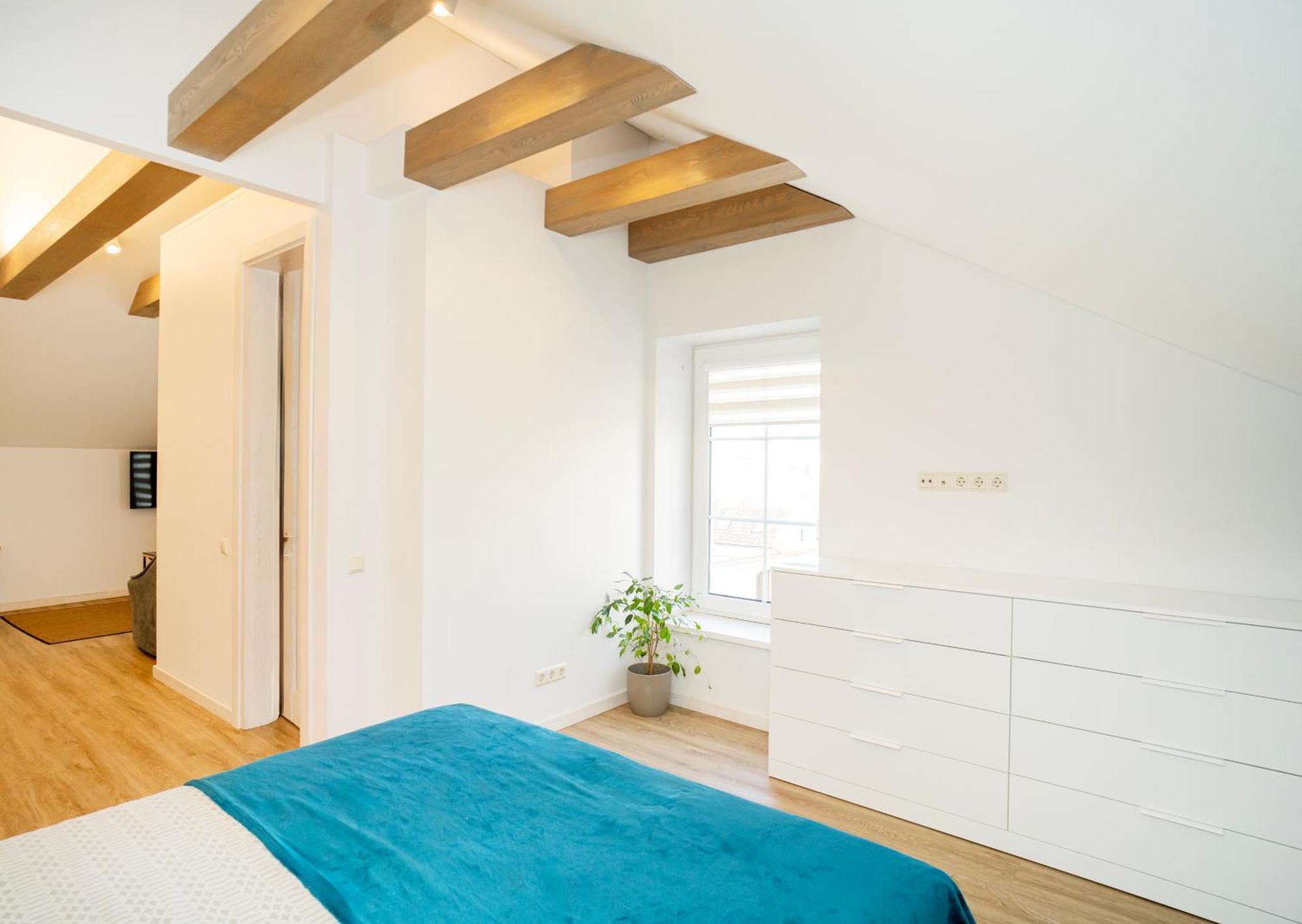 Kaunas Castle Apartments - Studio Buitenkant foto